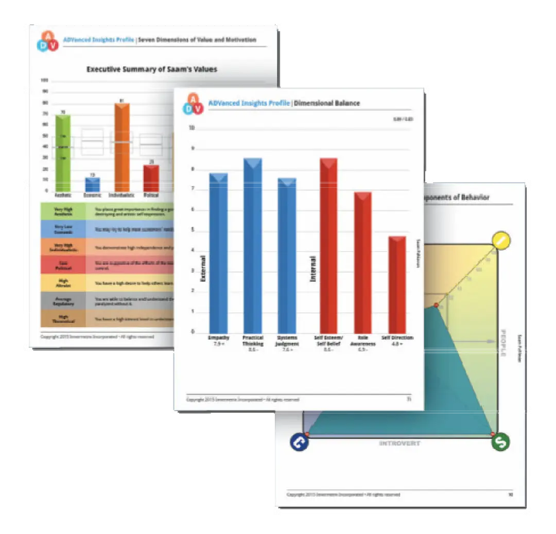 Advanced Insights profile report example showing DISC behavioural graphs, strengths analysis, and communication style indicators